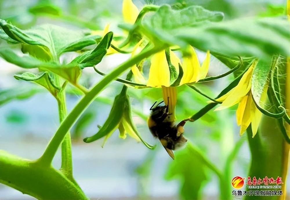 強信心 起好步 開新局丨科技賦能，食品企業(yè)以溫濕度控制器加速生產(chǎn)